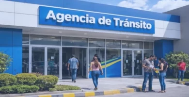 consulta de multas ant loja